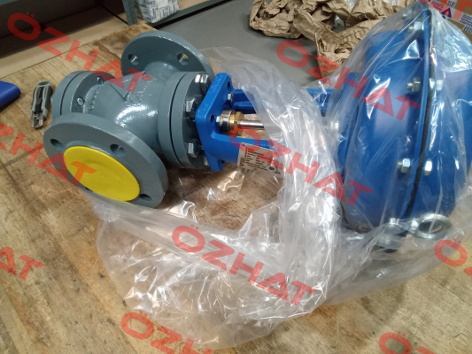 M9S05013CD Valvole Hofmann