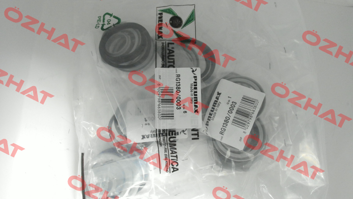 RG1380/0003 Pneumax