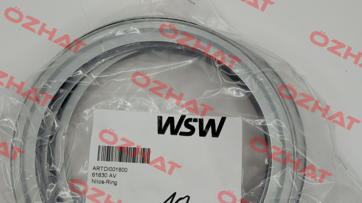 61830 AV WSW  Wälzlager