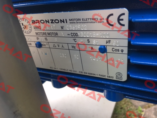 0565902  Bronzoni