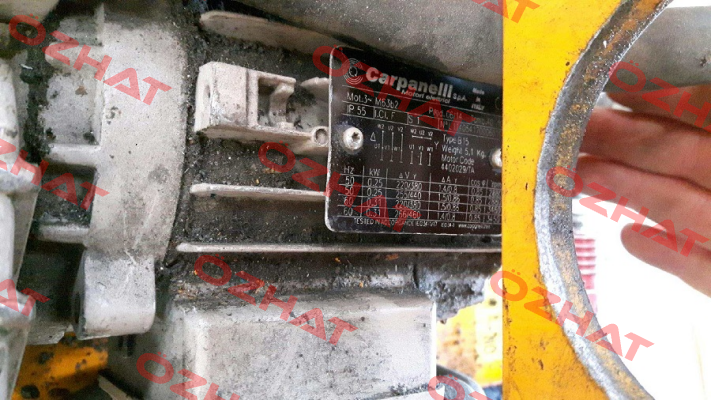 type B15 Carpanelli