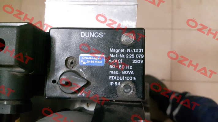 228295 (1231 AC 230 V IP 54) Dungs