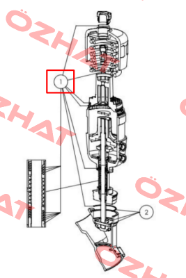 233587 Burkert