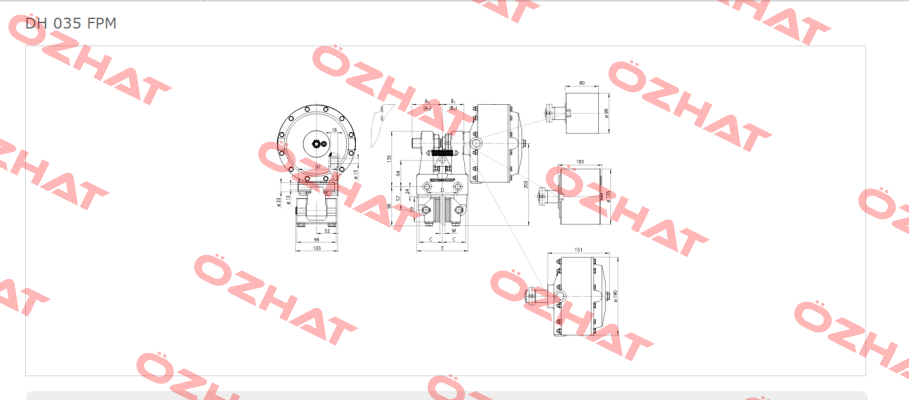 DH 035 FPM-122R-12  Ringspann