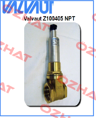 Z100405 NPT  Valvaut