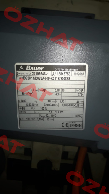 BG20-11/D09SA4-TF-K311B/E008B9  Bauer