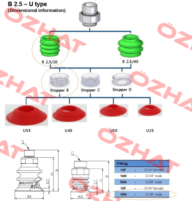 MS 20 B  Vmeca
