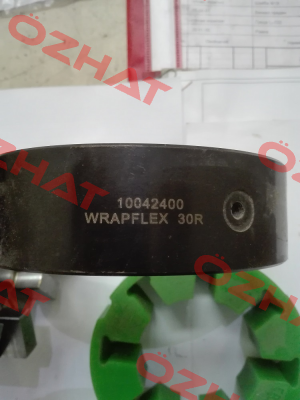 WRAPFLEX-Komplettkupplung 30R10 Rexnord