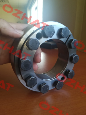 4200-075801-000002 Ringspann