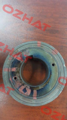 DX61 Ringspann