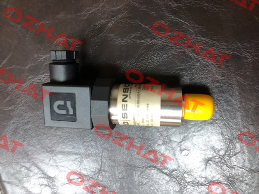26.600G-V502-R-1-100-300-1-000 Bd Sensors