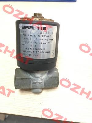 GMO18811082 BE6 Brahma