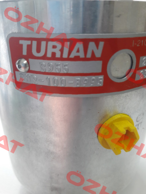 GHR 100-B955 Turian