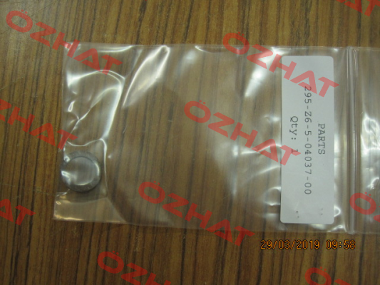 295-Z6-5-04037-00 Cashco