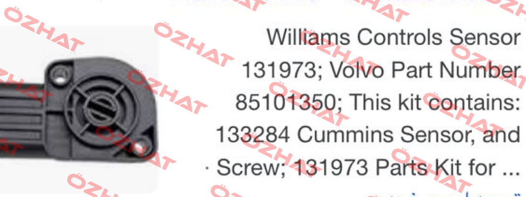 131973 Williams Controls