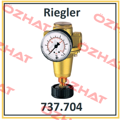 P/N: 100893 Type: 737.704 Riegler