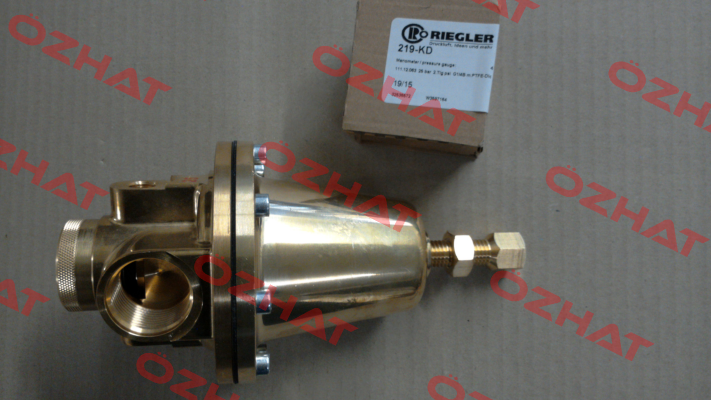 P/N: 100894, Type: 737.705 Riegler