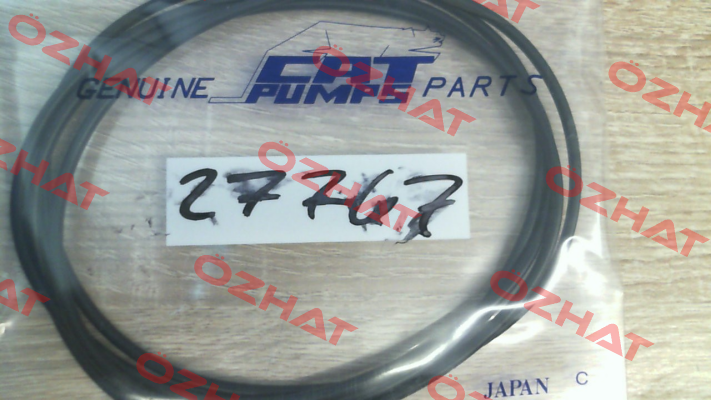 27767 Cat Pumps
