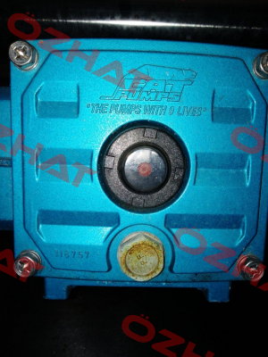 6132 Cat Pumps
