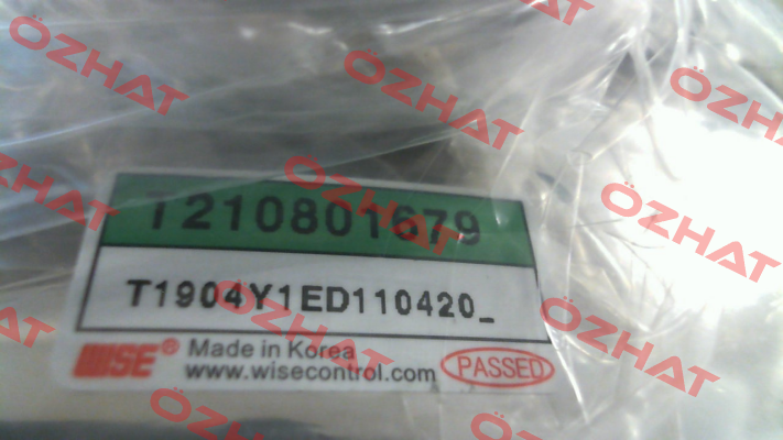 T1904Y1ED110420 Wise