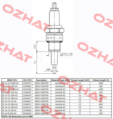 Type ZE 14-12-400 A1 Beru