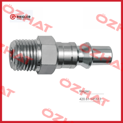 141613 Type: 420.61 Riegler