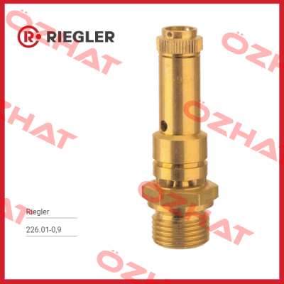 226.01-0,9 Riegler