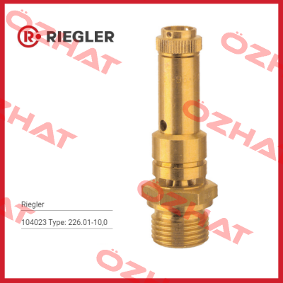 104023 Type: 226.01-10,0 Riegler