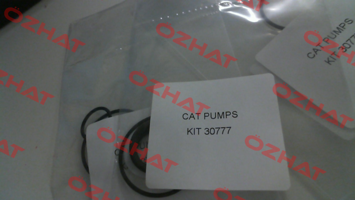 30777 Cat Pumps