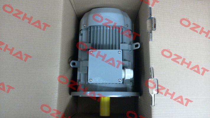 FCPA 132S-6 /PHE AC Motoren