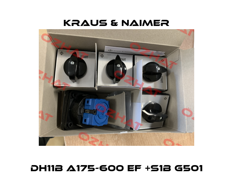 DH11B A175-600 EF +S1B G501 Kraus & Naimer