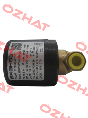 E6G*S8 R1/4" B/BE6*GMOC Brahma
