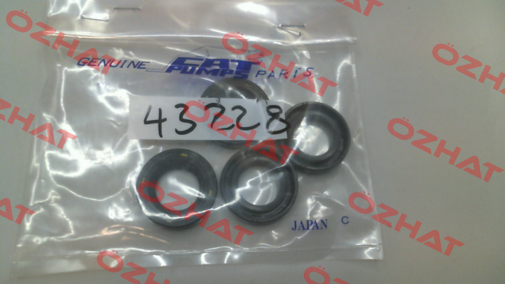43228 Cat Pumps