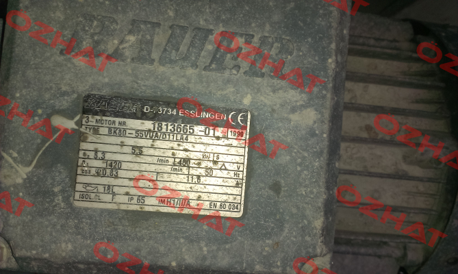 BK80-55VUA/DHE11LA4C/SP  Bauer