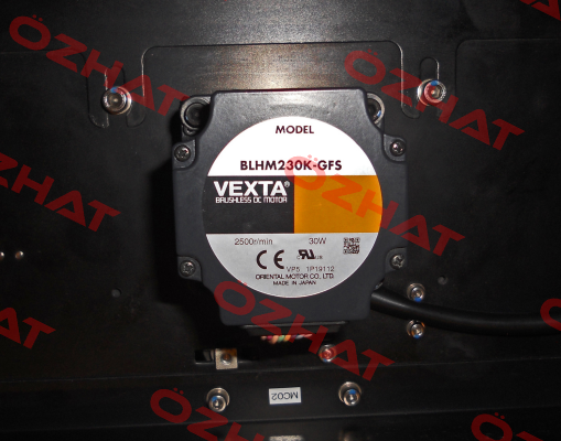 BLHM230K-GFS Vexta