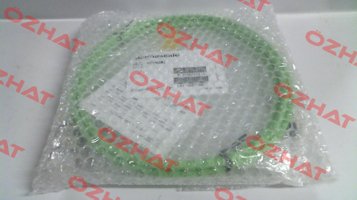 CH22-025NSMZ Magnescale