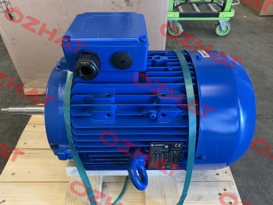 PLM132B14 S2 350 IE3  / 50A17VH00 Lowara
