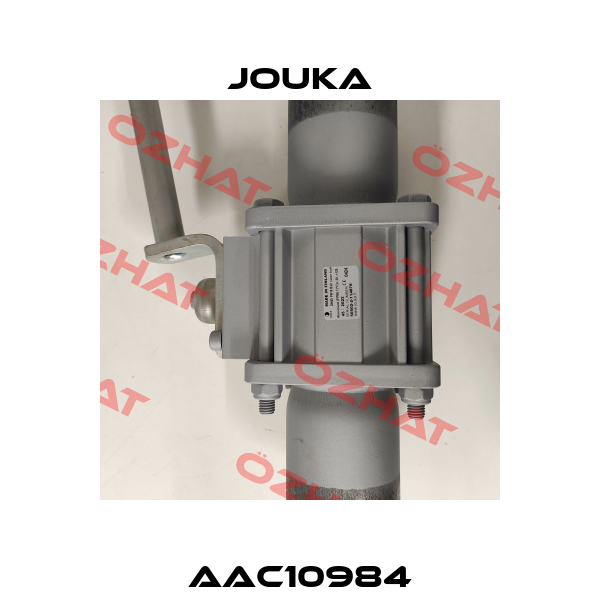 AAC10984 Jouka
