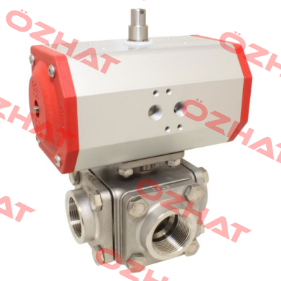 ZD311423-EE620632/AX End Armaturen