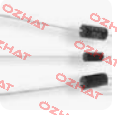 116243234/ UPW50 0.1% 5PPM 500R| TE Connectivity (Tyco Electronics)