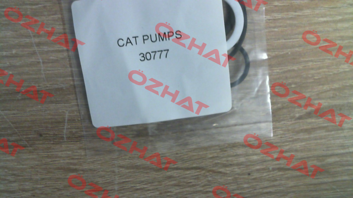 30777 Cat Pumps