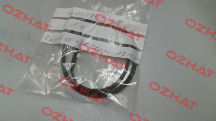 O-ring for NM 25/1600E Calpeda