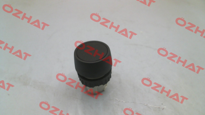 BA 221 01 Hafner