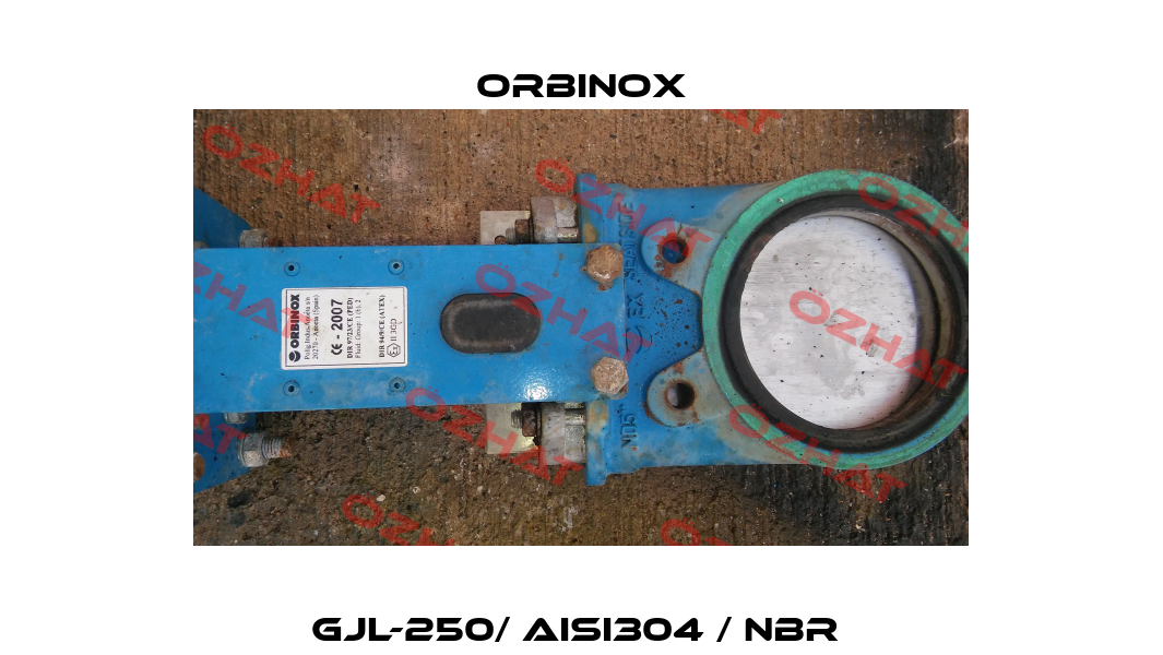 GJL-250/ AISI304 / NBR  Orbinox