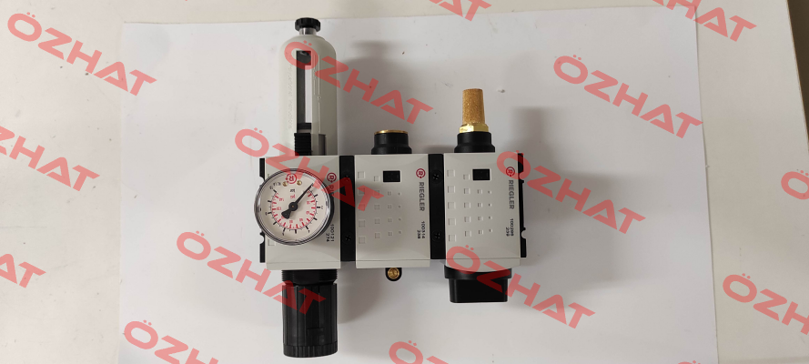 p/n: 100252, Type: FU 1103 Riegler