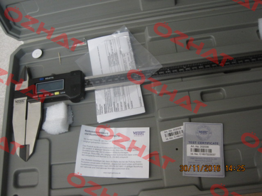 202006 Vogel