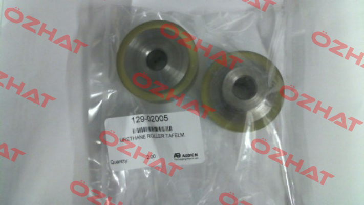 129-02005 Audion Elektro