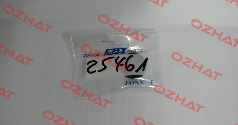 25461 - SEAL, OIL, NBR Cat Pumps