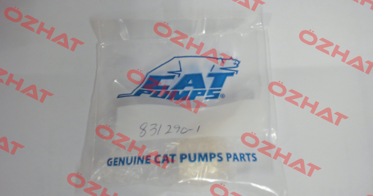 831290 - PLUNGER, CERAMIC (M20x18) Cat Pumps